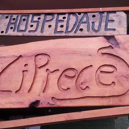 Hospedaje Los Cipreses Coyhaique Eksteriør billede
